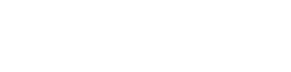 hollyland-logo-1200x300